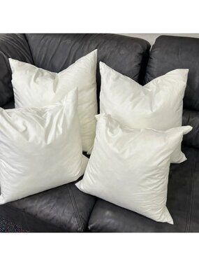 Down Pillow Insert 19x19 or 17x17 square